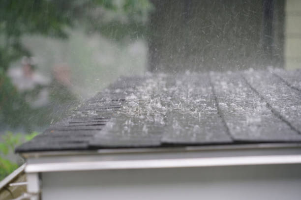 Best Roof Moss and Algae Removal  in Belpre, OH